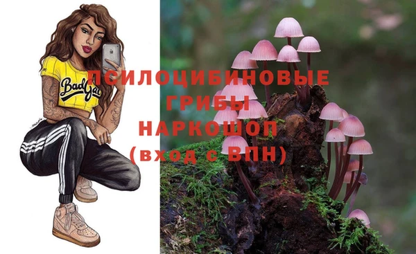 прущие крисы Аркадак