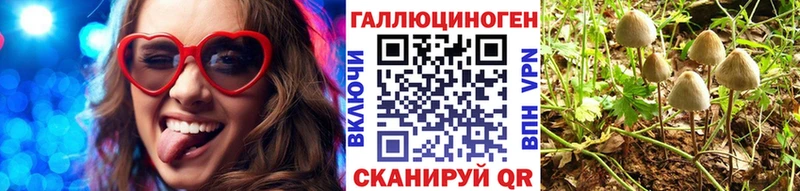 Галлюциногенные грибы Psilocybine cubensis  Тверь 